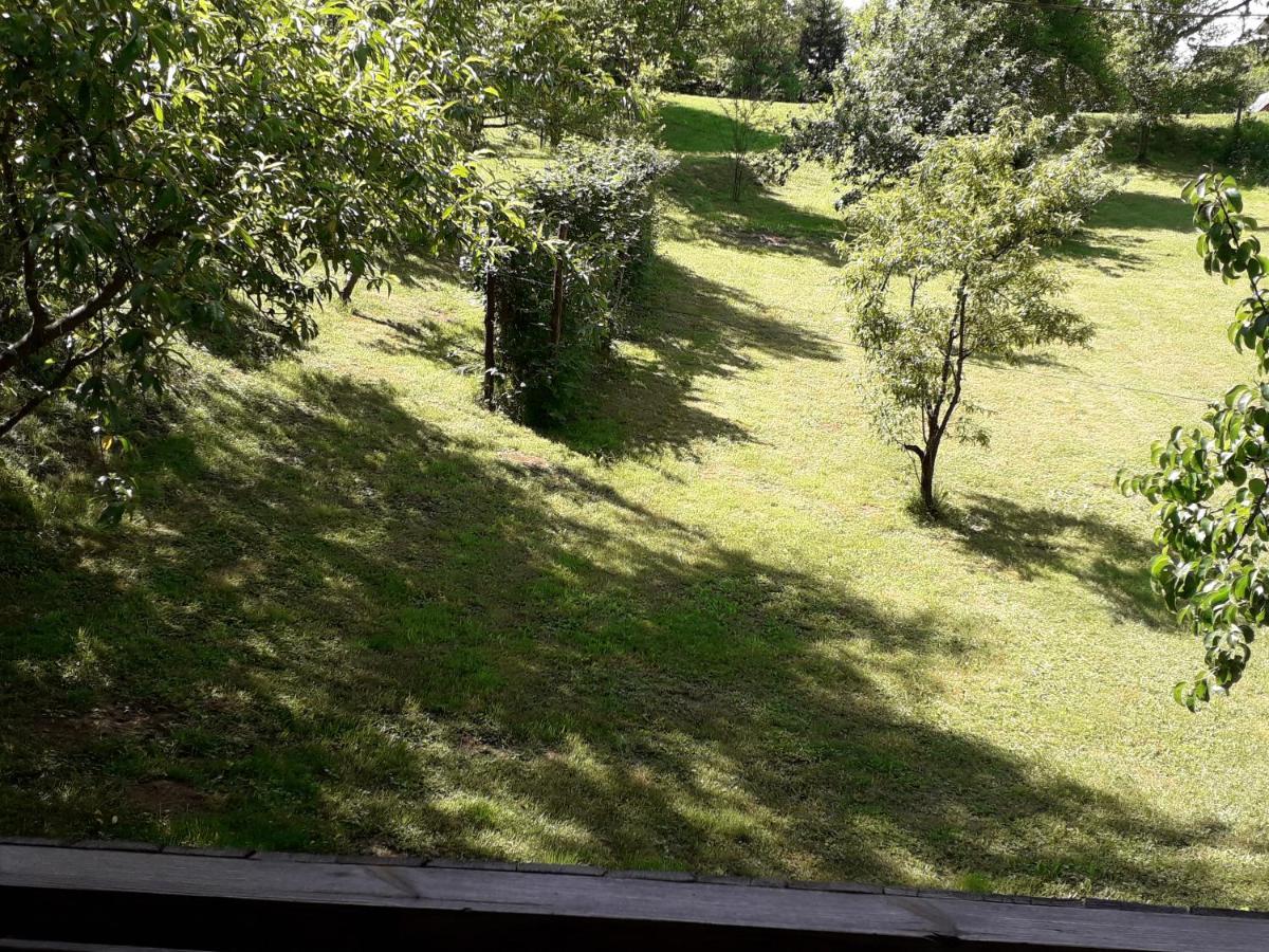 Apartment Iva Duga Resa Buitenkant foto
